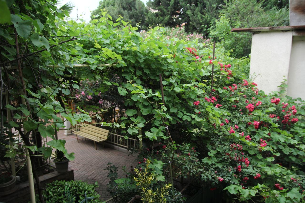 Guesthouse Different Tbilisi Ngoại thất bức ảnh