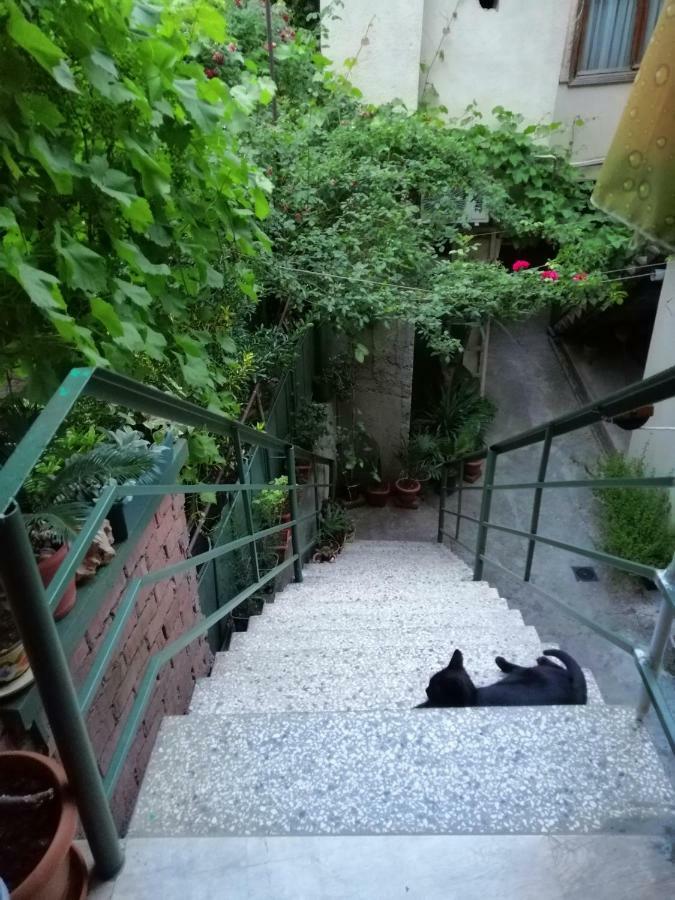 Guesthouse Different Tbilisi Ngoại thất bức ảnh